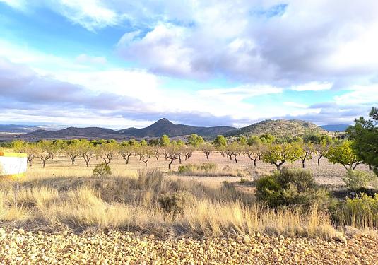 Property in Yecla