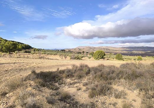 Property in Yecla