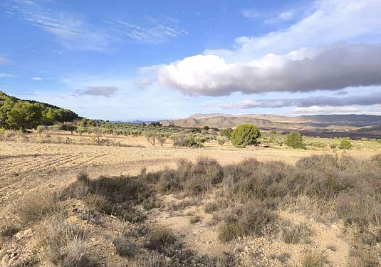 Property in Yecla