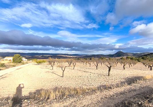 Property in Yecla