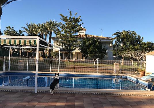 Villa in Orihuela Costa