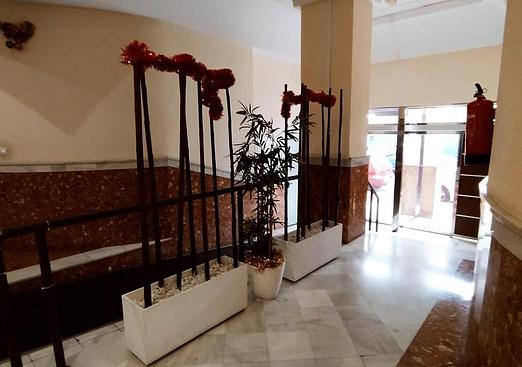 Apartment in Torrevieja