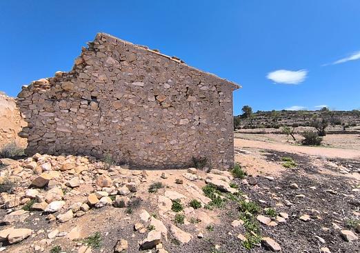 Other in Pinoso