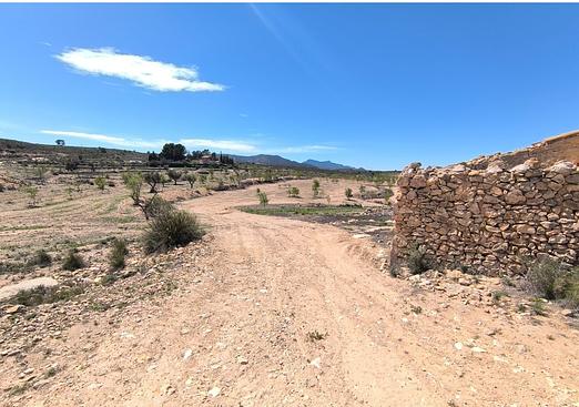 Other in Pinoso
