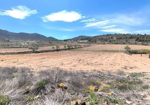 Land in La Zarza