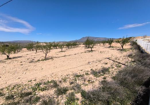 Land in Jumilla