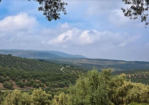 Land in Antequera