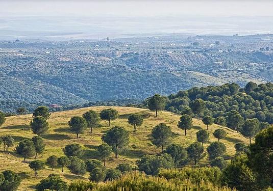 Land in Antequera