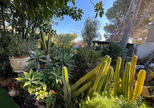 Villa in Orihuela Costa