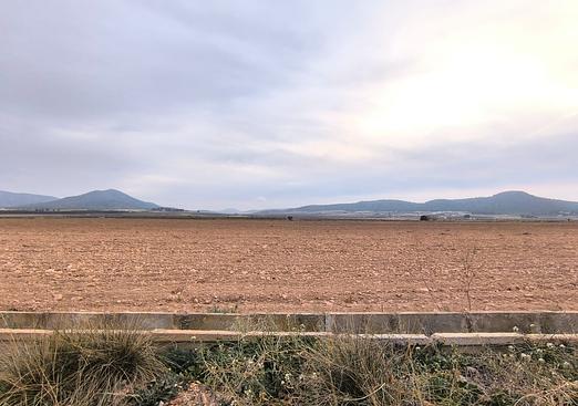 Land in Yecla