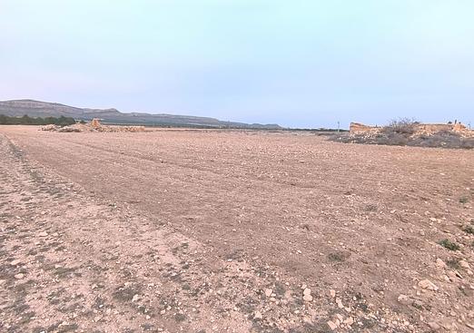 Land in Yecla
