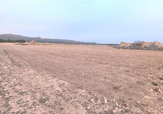 Land in Yecla