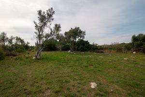 thumb 18