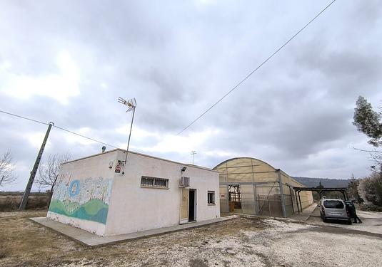 Commercial in Aspe