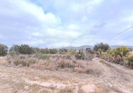 Commercial in Aspe