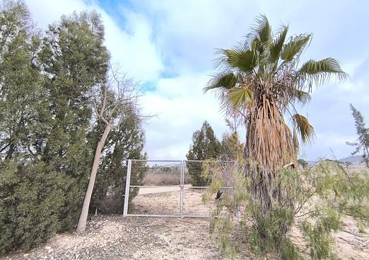 Commercial in Aspe