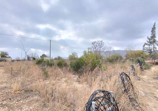 Commercial in Aspe