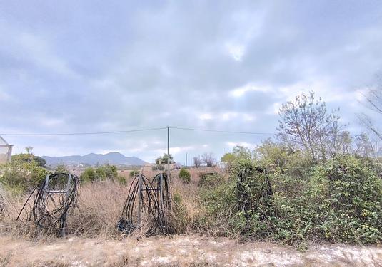 Commercial in Aspe