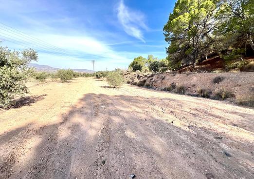 Property in Pinoso