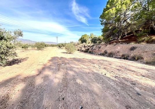 Property in Pinoso