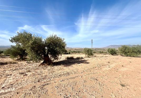 Property in Pinoso