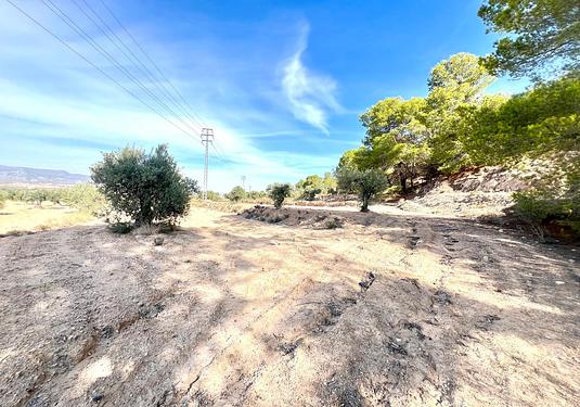 Property in Pinoso