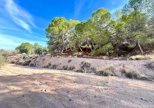Property in Pinoso