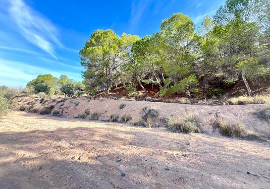 Property in Pinoso