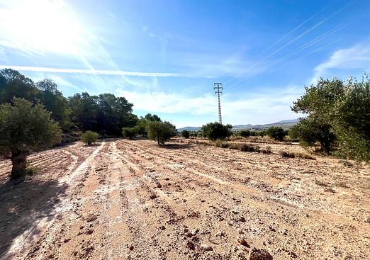 Property in Pinoso