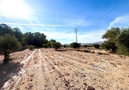Property in Pinoso