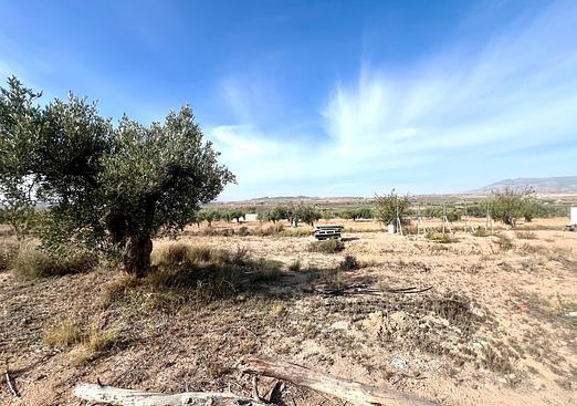 Property in Pinoso