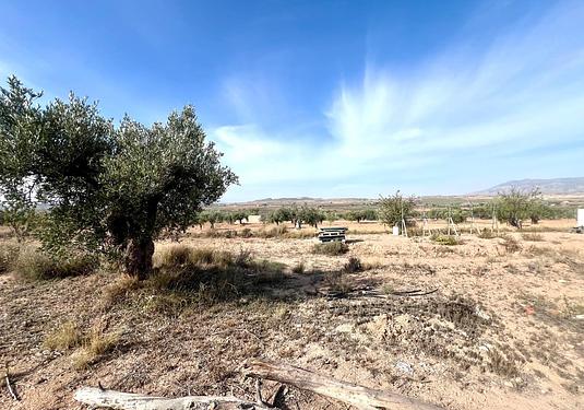 Property in Pinoso