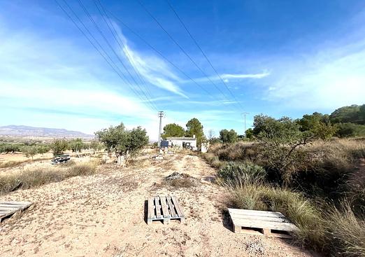 Property in Pinoso