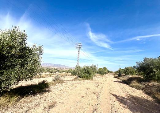 Property in Pinoso