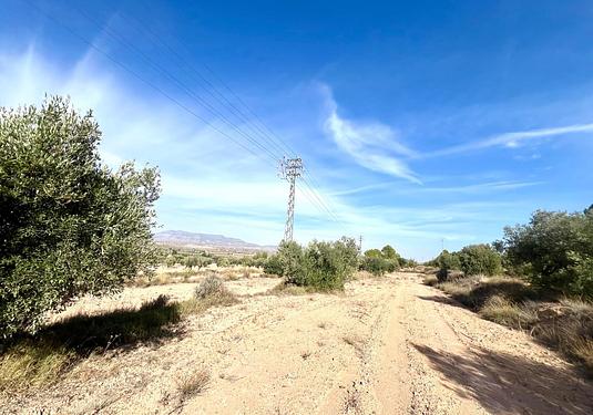 Property in Pinoso