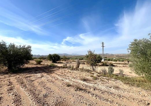 Property in Pinoso