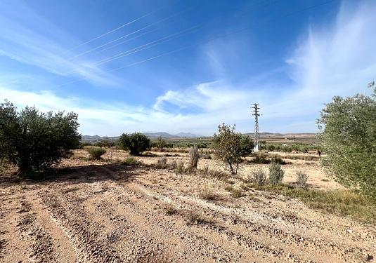 Property in Pinoso