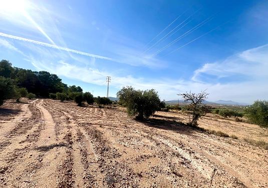 Property in Pinoso
