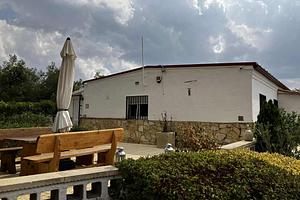 thumb 37