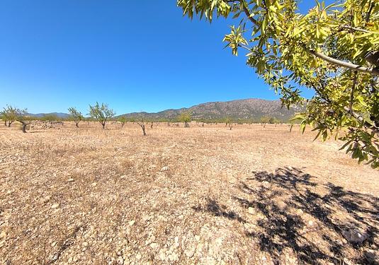 Land in Monóvar/Monóver