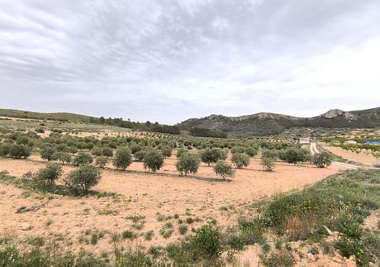 Country house in Jumilla