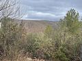 Property in javea