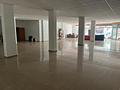 Commercial in Torrevieja