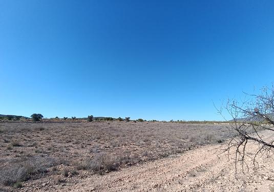 Country house in Jumilla