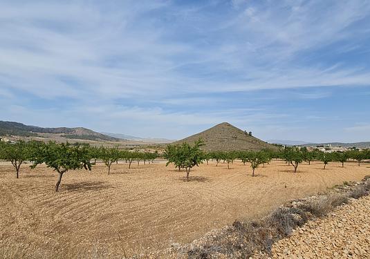 Land in Algueña