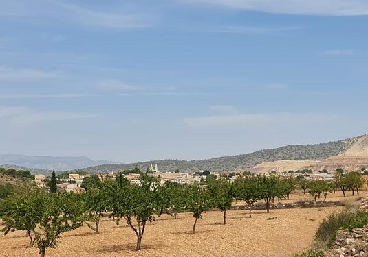 Land in Algueña