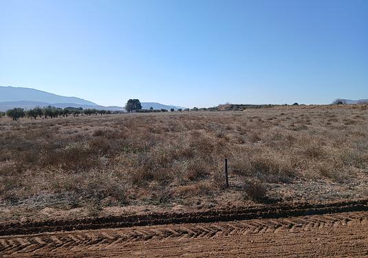 Land in Yecla