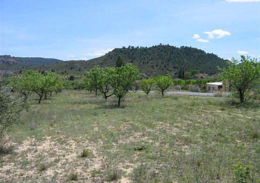 Land in Murcia
