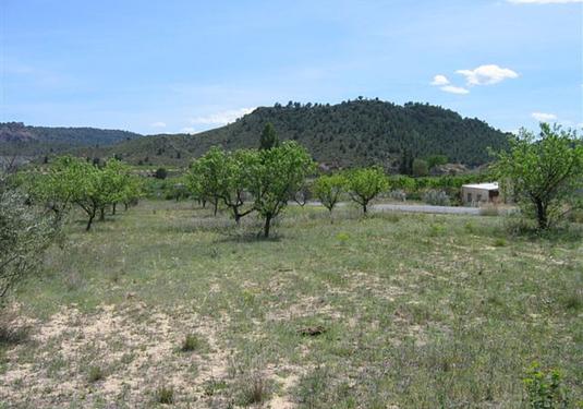 Land in Murcia