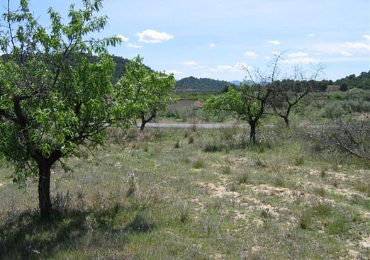 Land in Murcia
